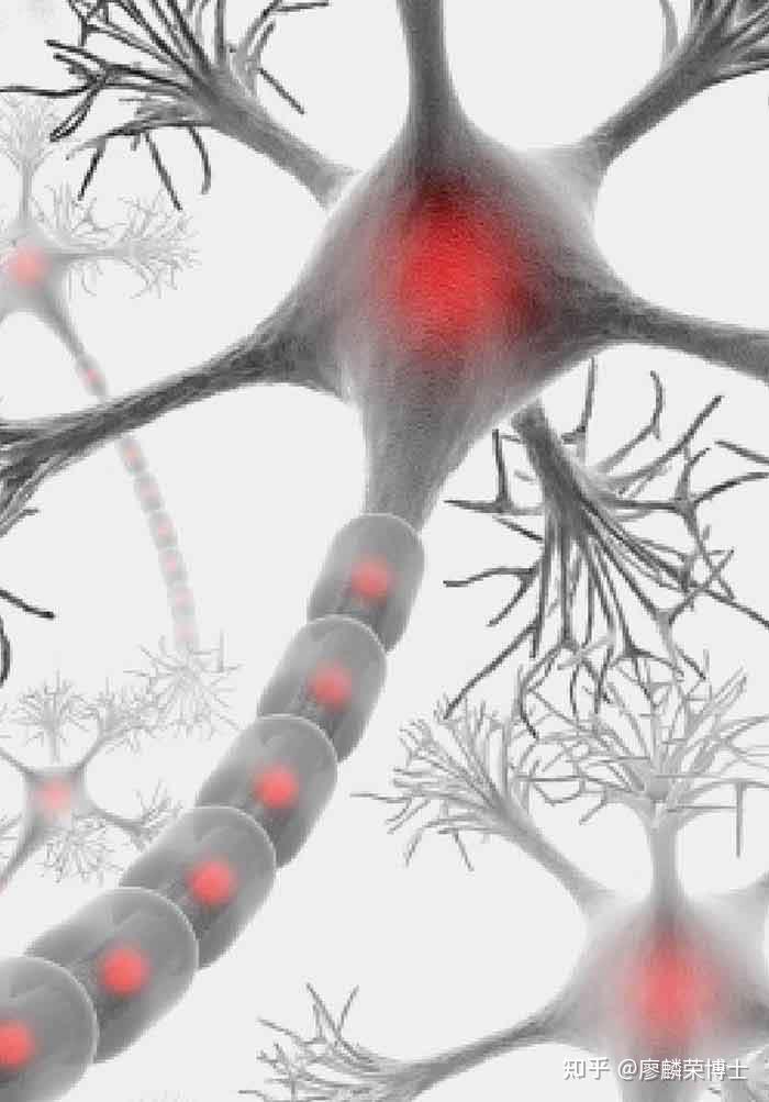 Regenerative Medications
